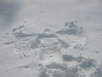 [20060325a_07.jpg]